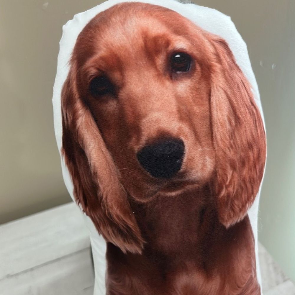 Cocker Spaniel Throw Pillow - Picture 2 of 4